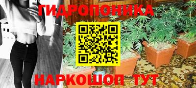 ГАЛЛЮЦИНОГЕННЫЕ ГРИБЫ Татарск